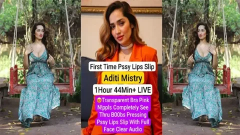 Aditi Mistrys Hot SeeThrough Bra Secret with Pink Nipples Exposed MMS Porn