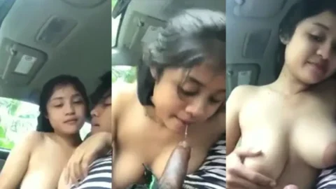 Hot Couple In Car GF and BF Desi Porn MMS